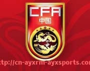 爱游戏体育-英超足球作家协会历届最佳球员获奖名单