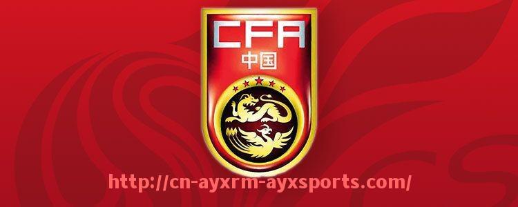 爱游戏体育-世俱杯中前场传球链稳定性指标及其对组织效率的影响