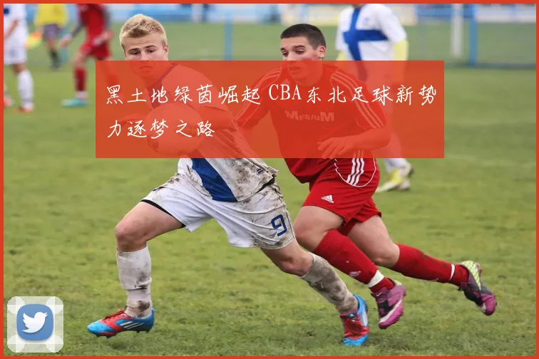 黑土地绿茵崛起 CBA东北足球新势力逐梦之路