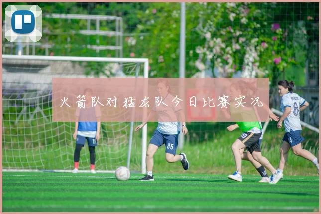 火箭队对猛龙队今日比赛实况