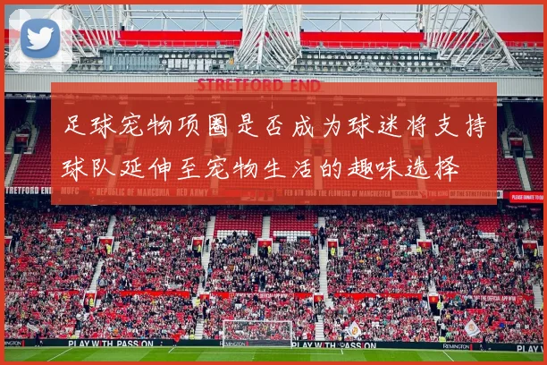 足球宠物项圈是否成为球迷将支持球队延伸至宠物生活的趣味选择