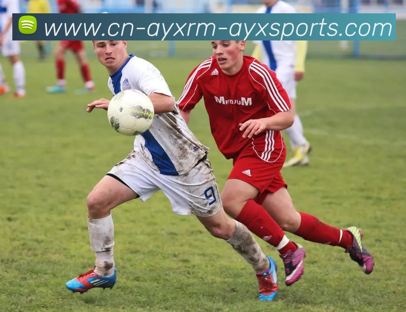 爱游戏APP 高清赛事图